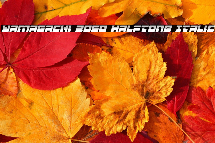 Yamagachi 2050 Halftone Italic Example 2