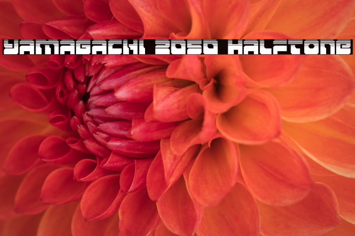 Yamagachi 2050 Halftone Example 1