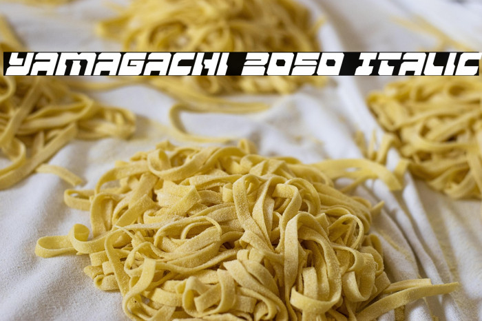 Yamagachi 2050 Italic Example 1