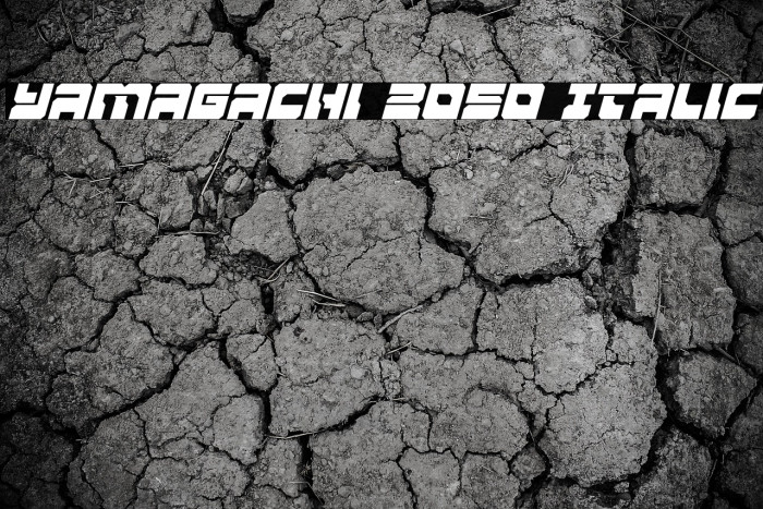 Yamagachi 2050 Italic Example 3