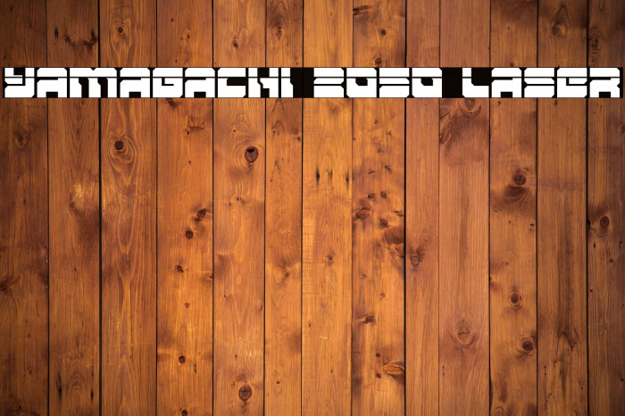 Yamagachi 2050 Laser Example 2