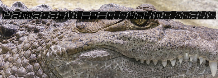 Yamagachi 2050 Outline Italic Example 3