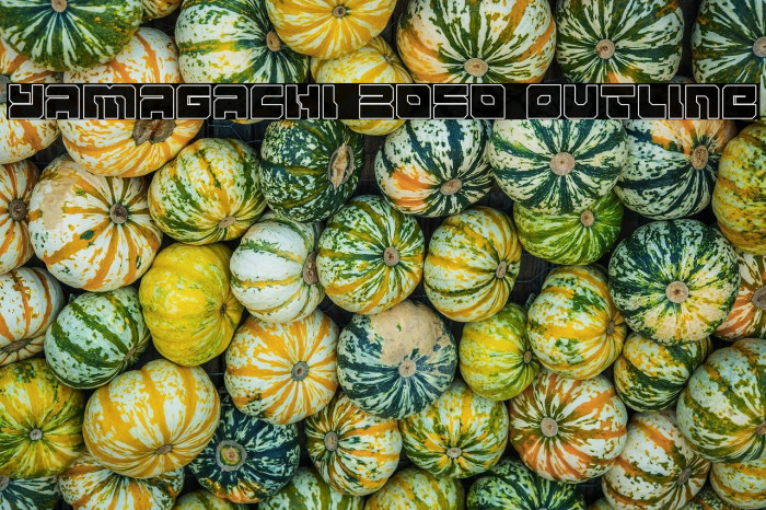 Yamagachi 2050 Outline Example 1