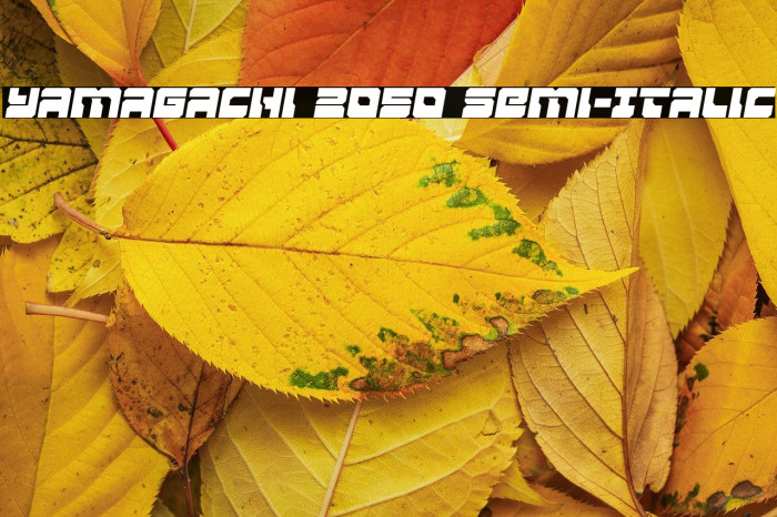 Yamagachi 2050 Semi-Italic Example 1