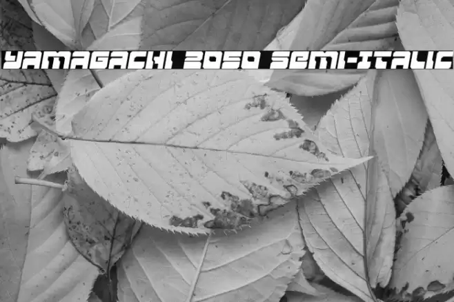 Yamagachi 2050 Semi-Italic Font examples