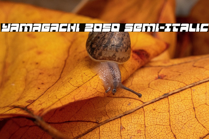 Yamagachi 2050 Semi-Italic Example 2