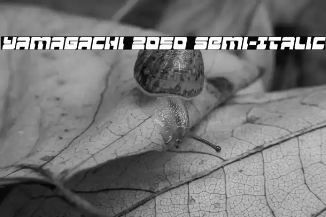 Yamagachi 2050 Semi-Italic Font examples