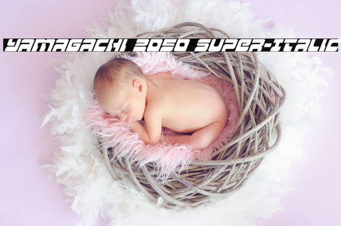 Yamagachi 2050 Super-Italic Example 1