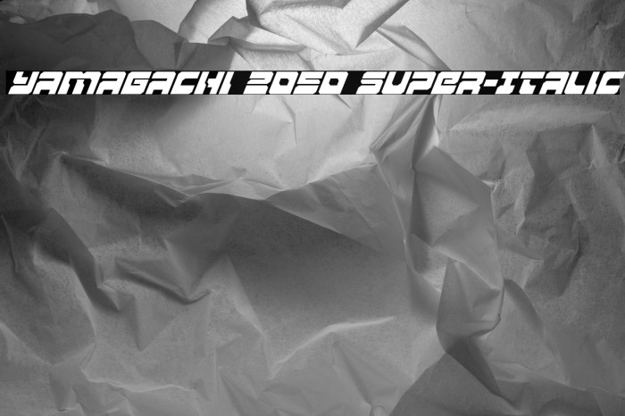 Yamagachi 2050 Super-Italic Example 2