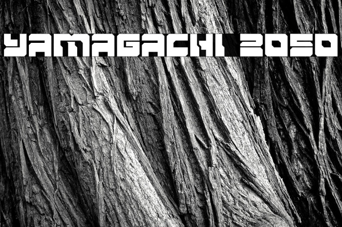 Yamagachi 2050 Example 1