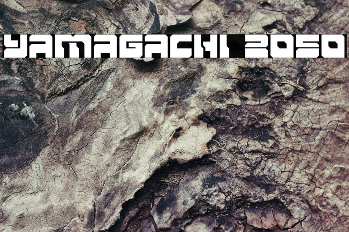 Yamagachi 2050 Example 2