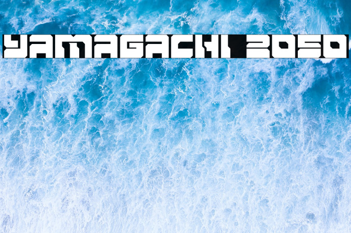 Yamagachi 2050 Example 3