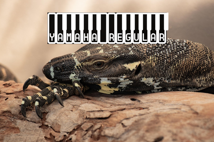 Yamaha Regular Example 2