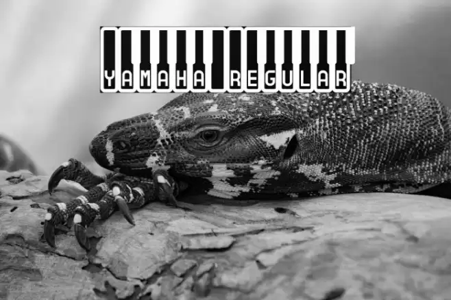 Yamaha Regular Font examples