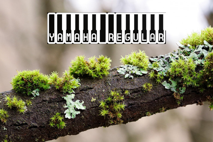 Yamaha Regular Example 3