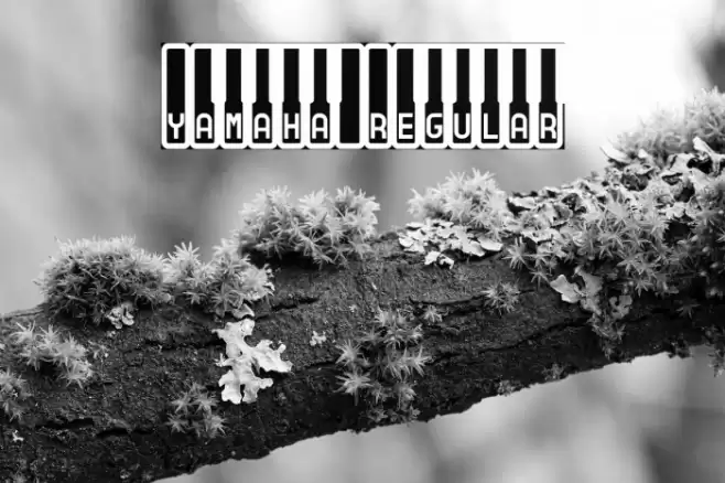 Yamaha Regular Font examples