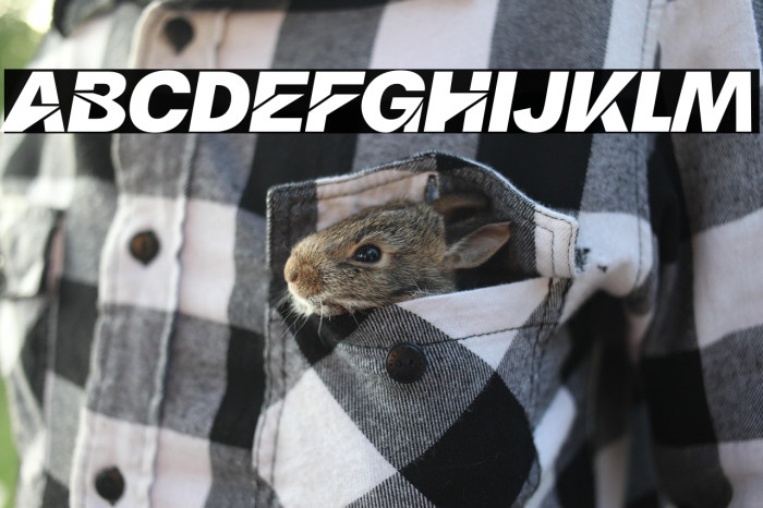 Yamaka Personal Used Example 1