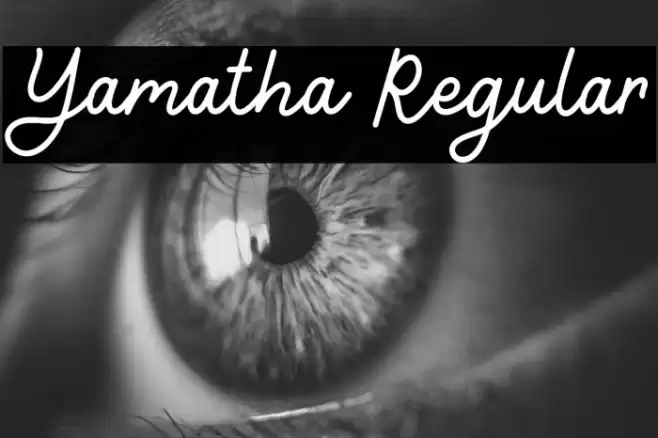Yamatha Regular Font examples