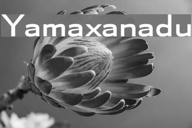 Yamaxanadu Font examples