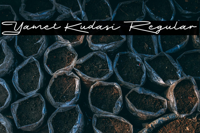 Yamet Kudasi Regular Example 3