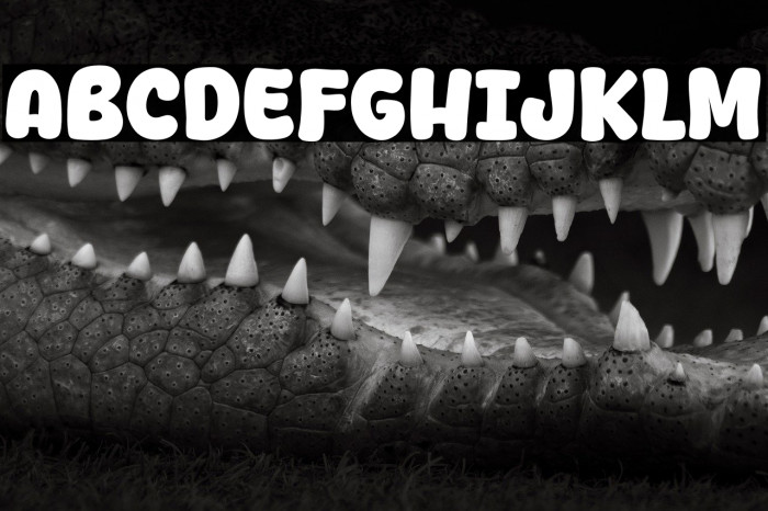 Yang Bagus Example 2