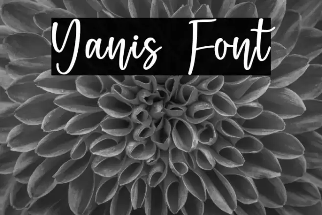 Yanis Font examples