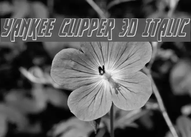 Yankee Clipper 3D Italic examples