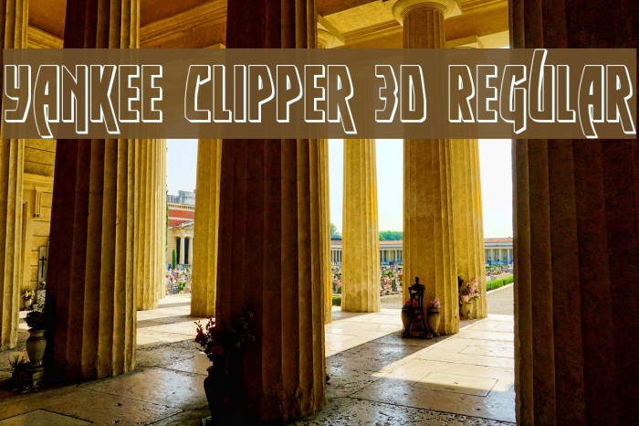 Yankee Clipper 3D Regular Fuentes examples