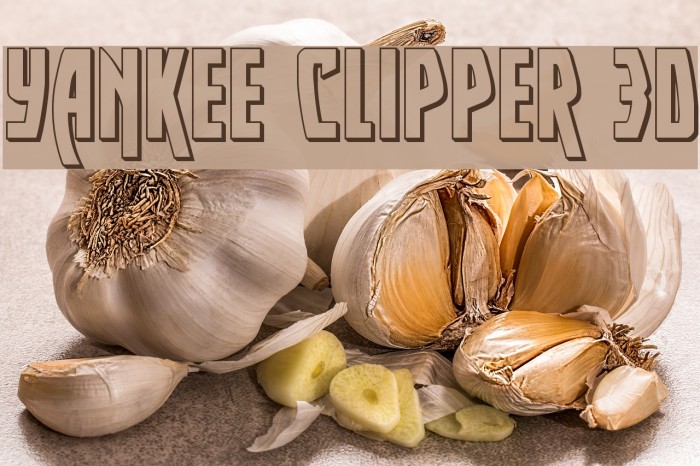 Yankee Clipper 3D Font examples