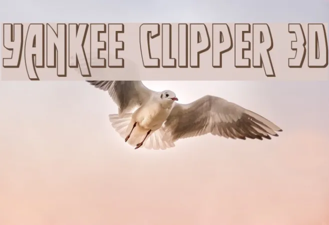 Yankee Clipper 3D Example 3