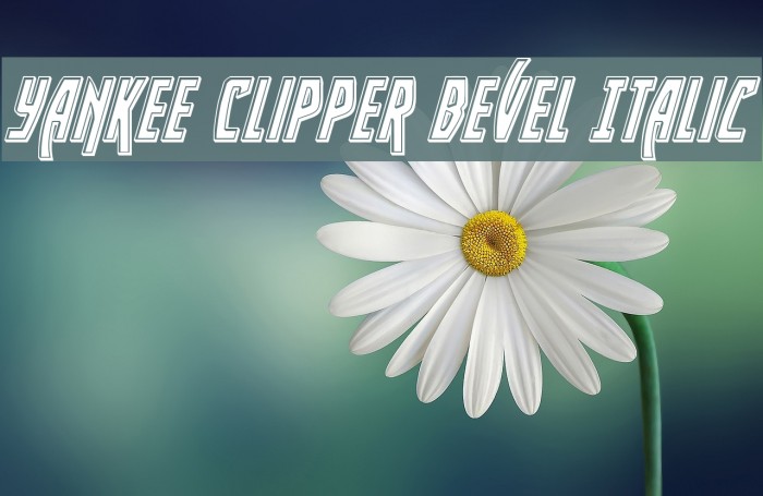 Yankee Clipper Bevel Italic Example 2