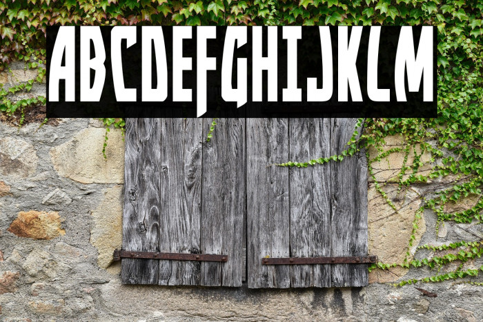 Yankee Clipper Condensed Example 2