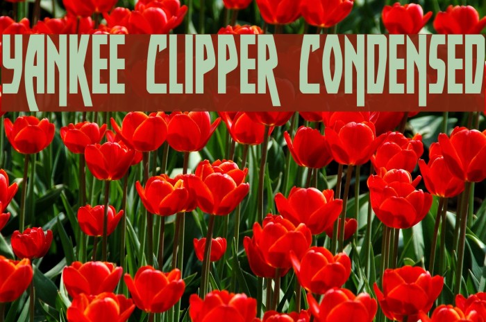 Yankee Clipper Condensed Font examples