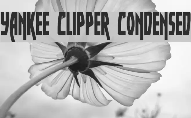 Yankee Clipper Condensed Font examples