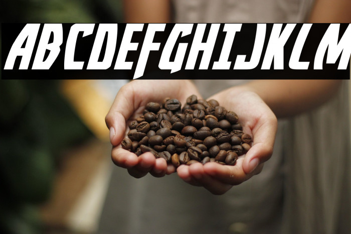 Yankee Clipper Expanded Italic Example 2