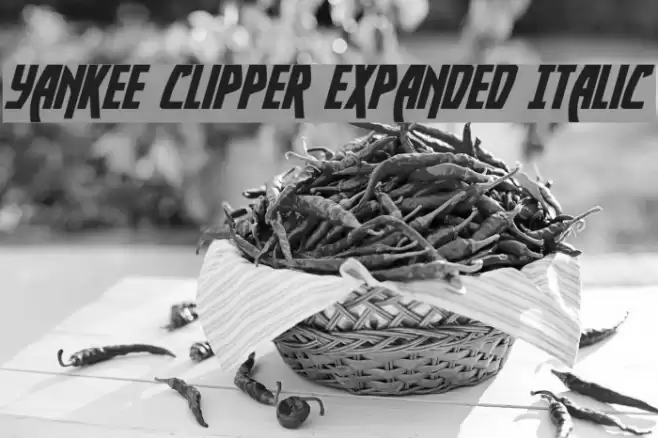 Yankee Clipper Expanded Italic Font examples