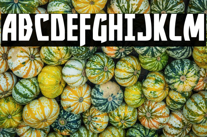 Yankee Clipper Expanded Example 1