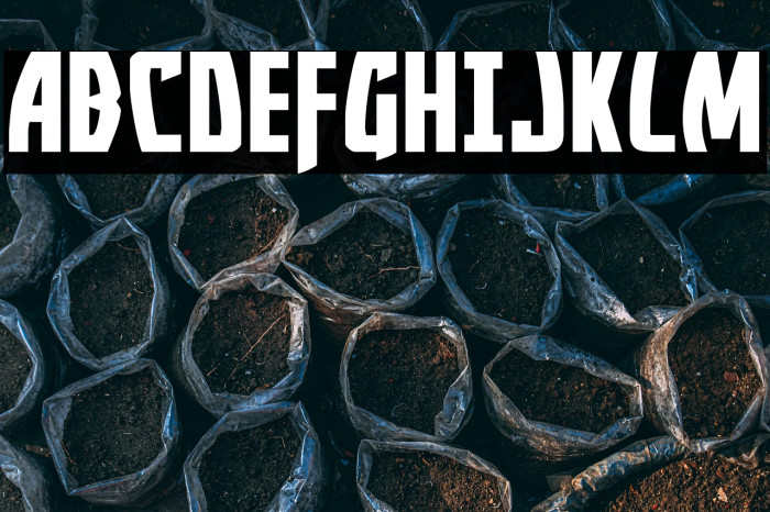 Yankee Clipper Expanded Example 3