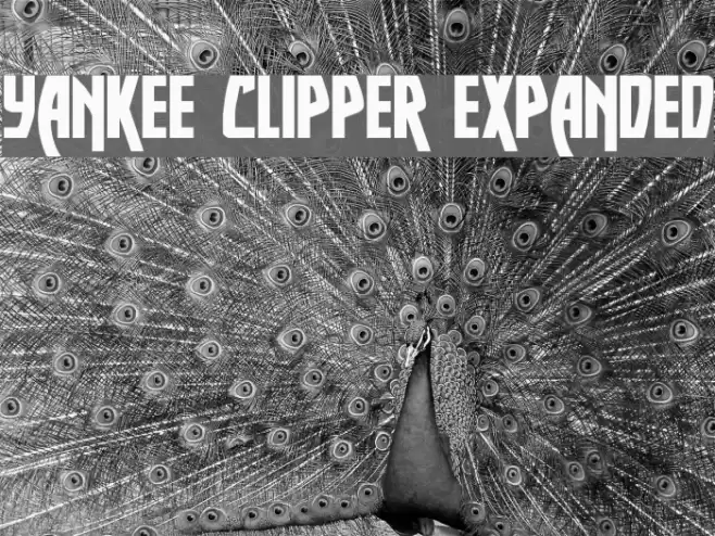 Yankee Clipper Expanded Font examples