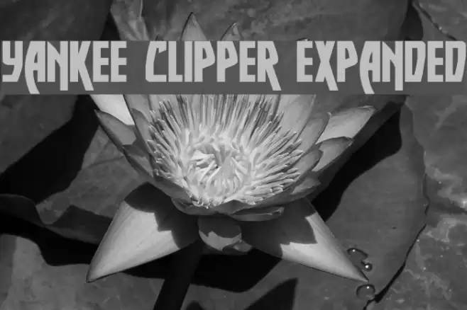 Yankee Clipper Expanded Font examples