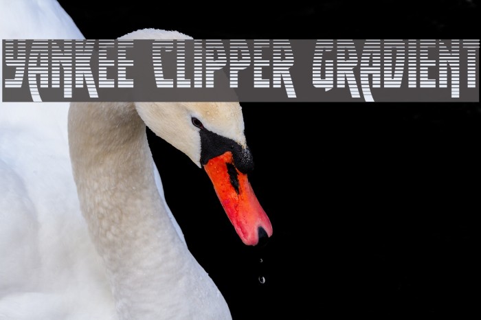 Yankee Clipper Gradient Font examples