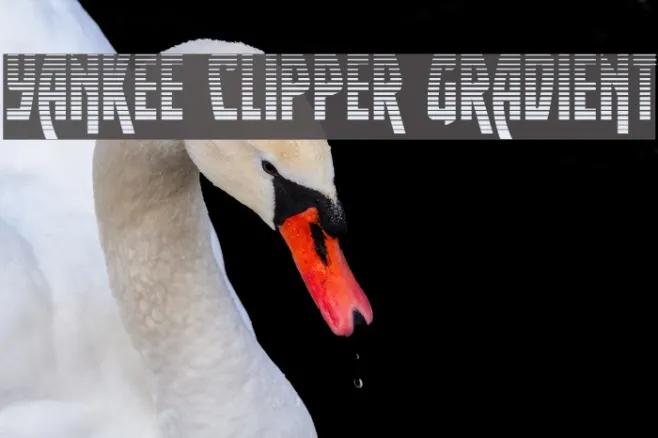 Yankee Clipper Gradient Example 3