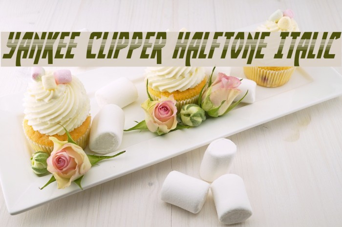 Yankee Clipper Halftone Italic Example 3