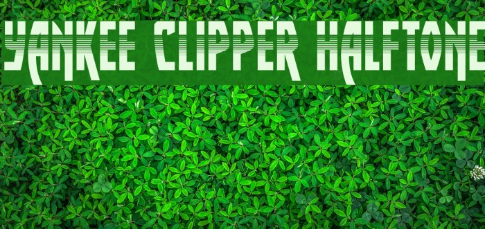 Yankee Clipper Halftone Example 1