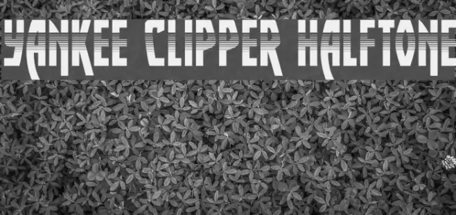 Yankee Clipper Halftone Font examples