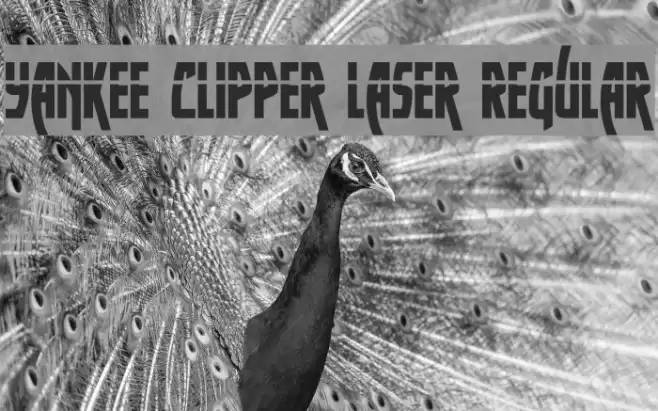Yankee Clipper Laser Regular Font examples