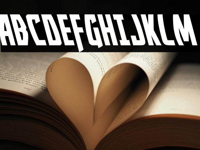 Yankee Clipper Leftalic Example 3