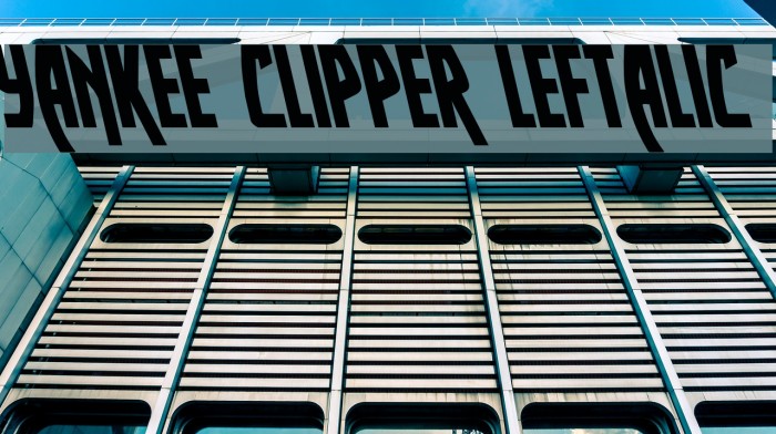 Yankee Clipper Leftalic Font examples