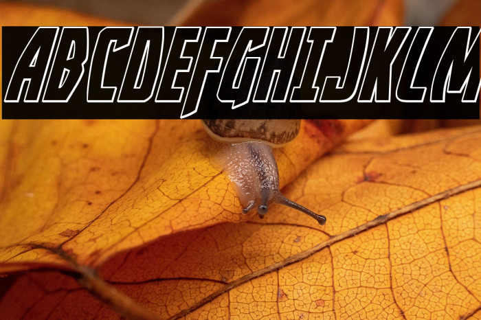 Yankee Clipper Outline Italic Example 2