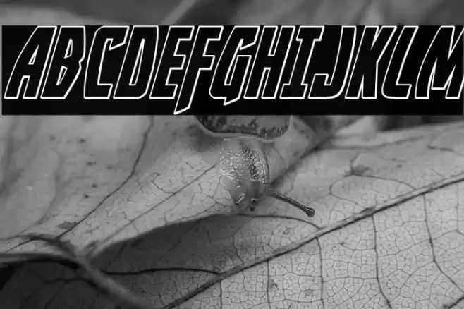 Yankee Clipper Outline Italic Font examples